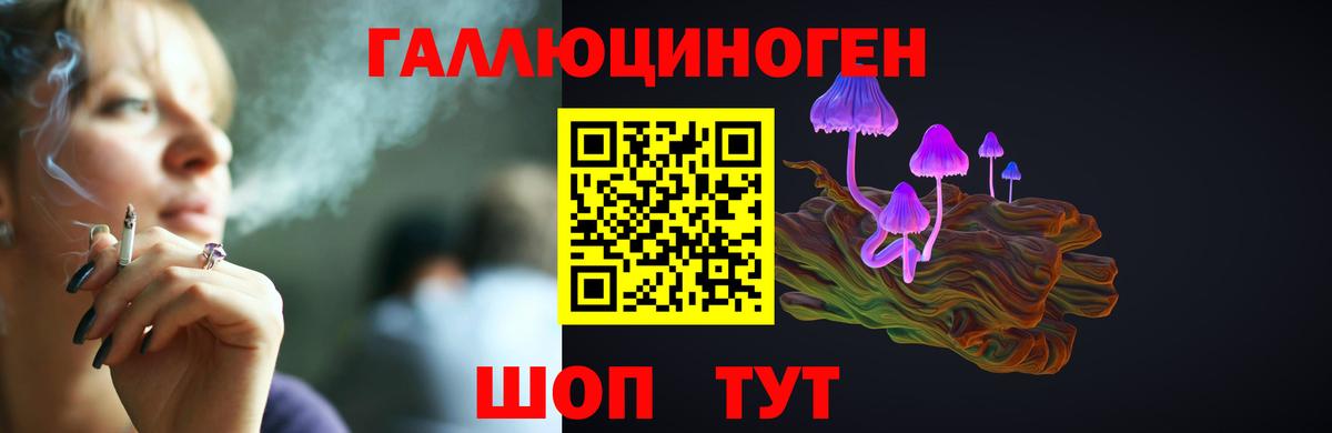 Черняховск  Галлюциногенные грибы прущие грибы  Вход с VPN  Псилоцибиновые грибы Cubensis 